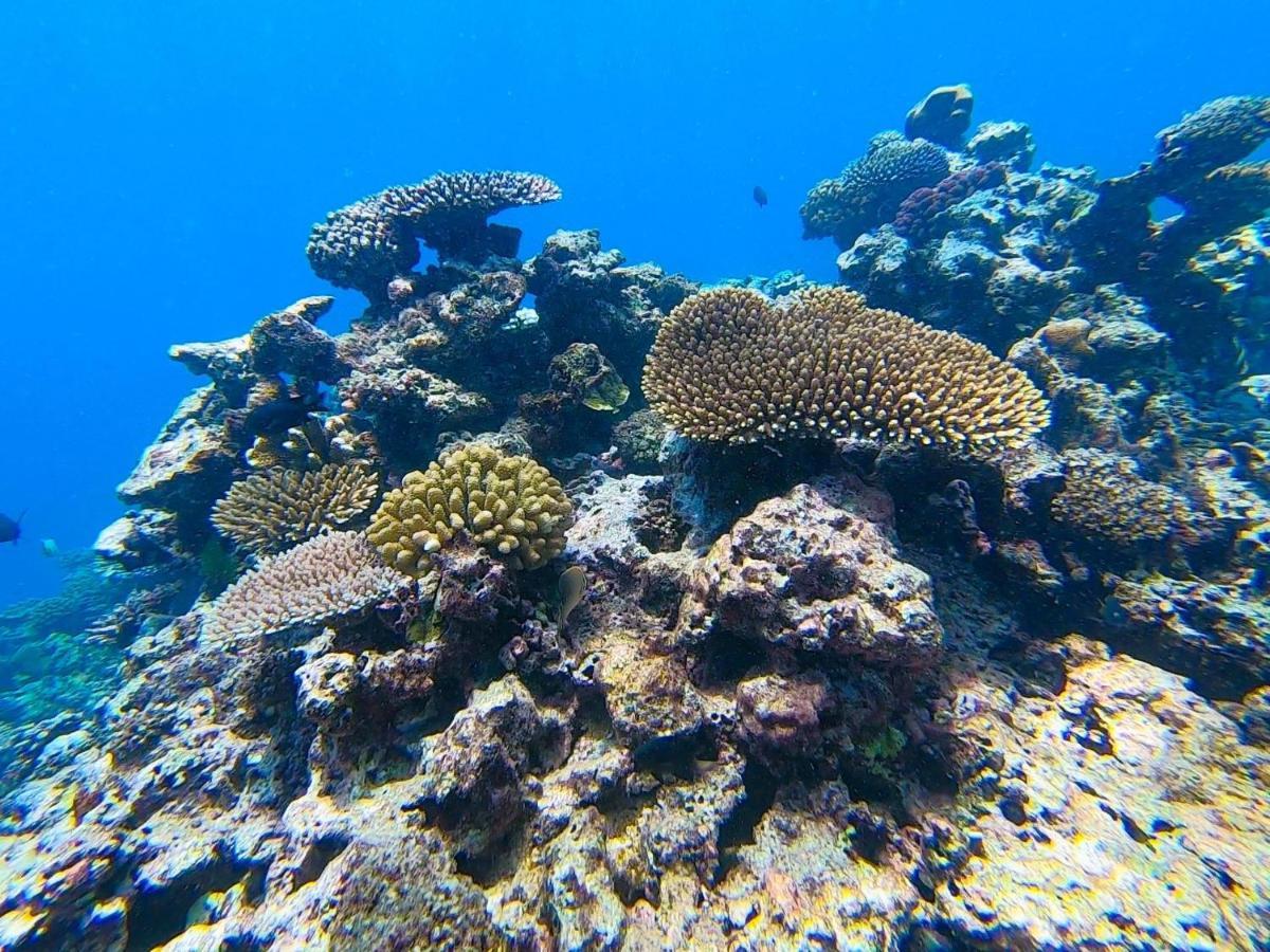 Nasama Resort Port Vila Kültér fotó