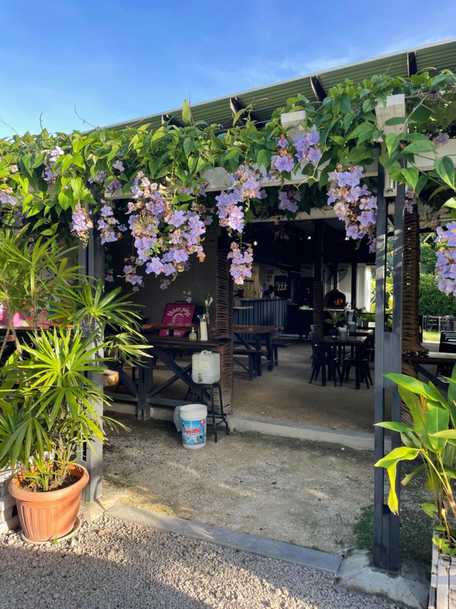 Nasama Resort Port Vila Kültér fotó
